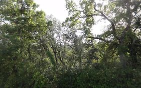 Gite le bagnol un coin de paradis